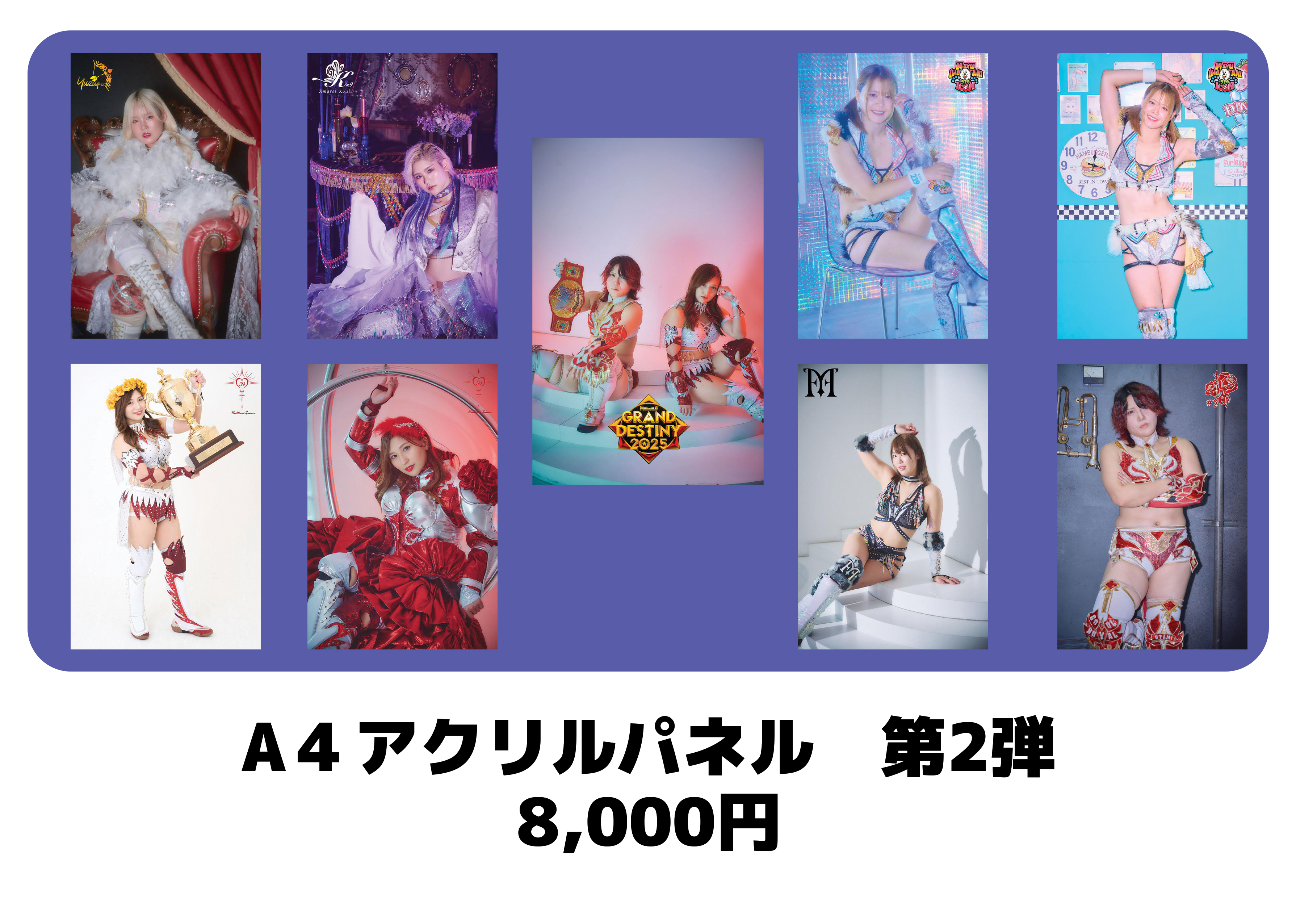 販売グッズ - MARIGOLD | 女子プロレス | マリーゴールド オフィシャル