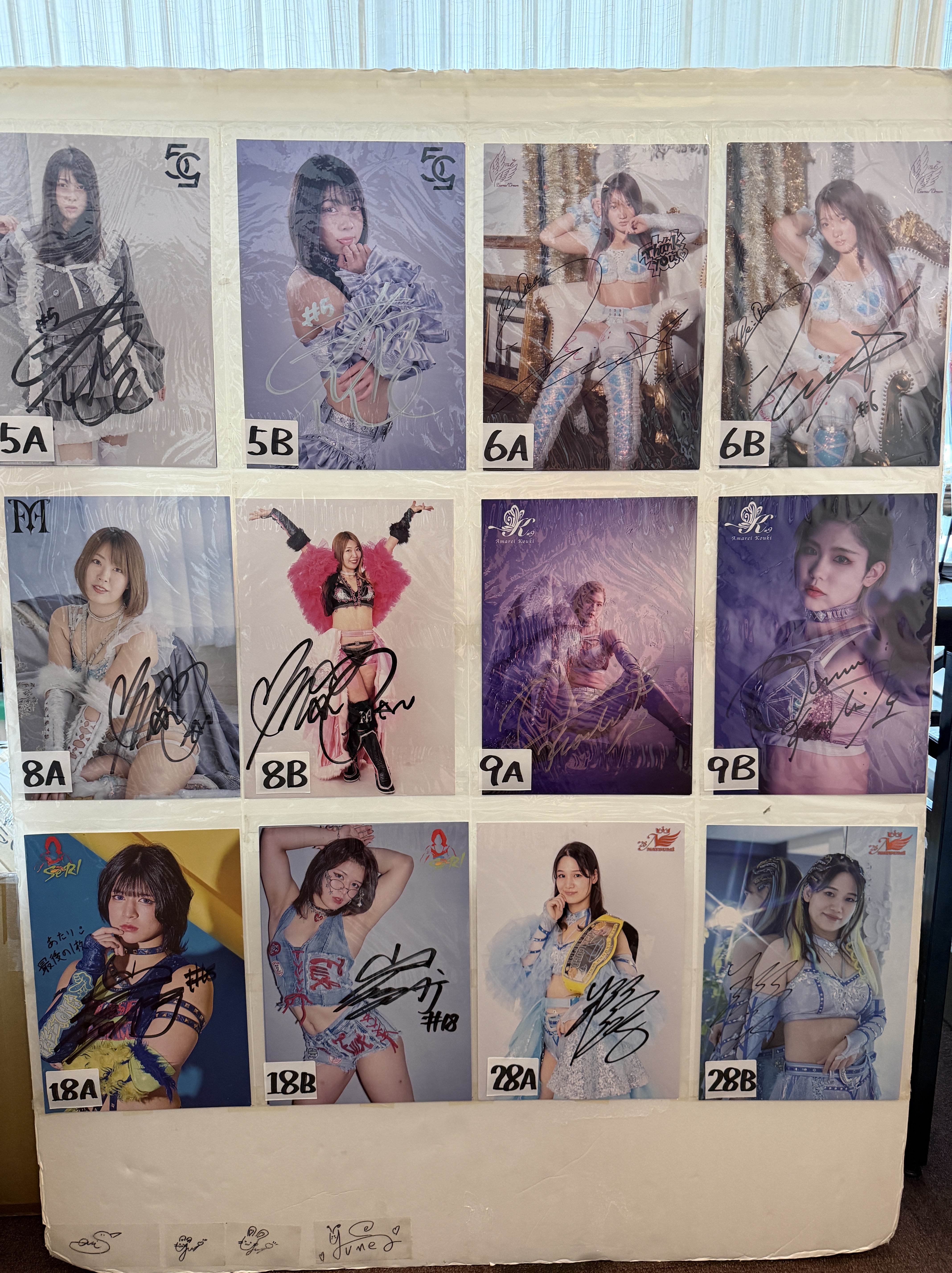 販売グッズ - MARIGOLD | 女子プロレス | マリーゴールド オフィシャル