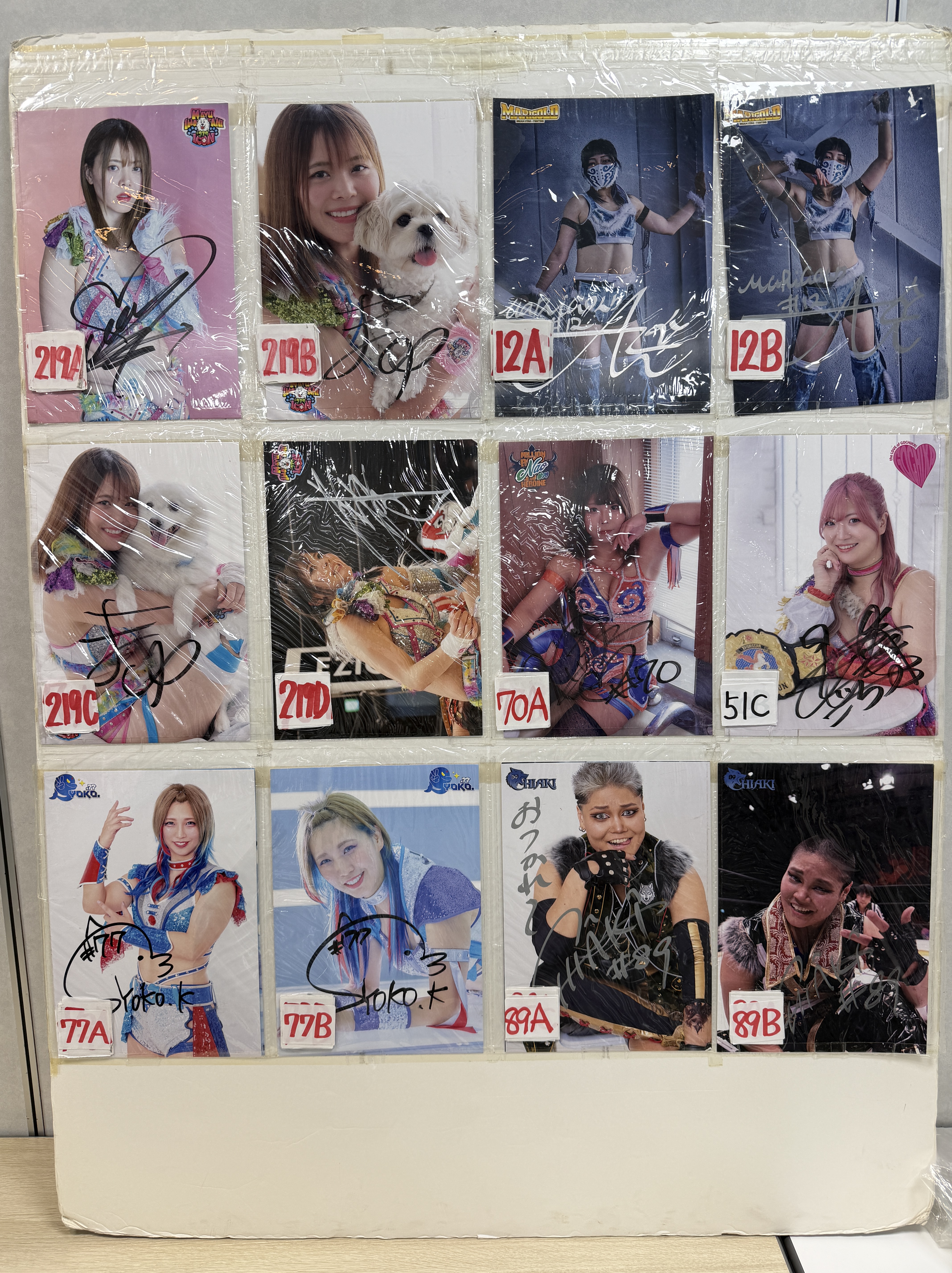 女子プロレス　マリーゴールド　ロイヤルシート　特典　4選手　サイン入りフレーム 販売グッズ - MARIGOLD | 女子プロレス | マリーゴールド オフィシャル